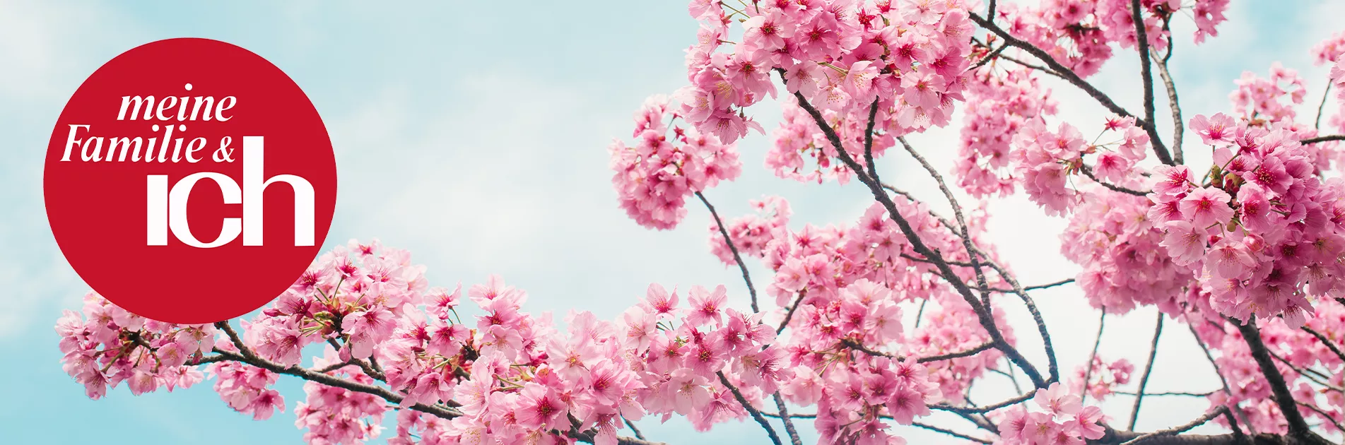 storage/pages/banner/1745486835familie und ich banner.webp